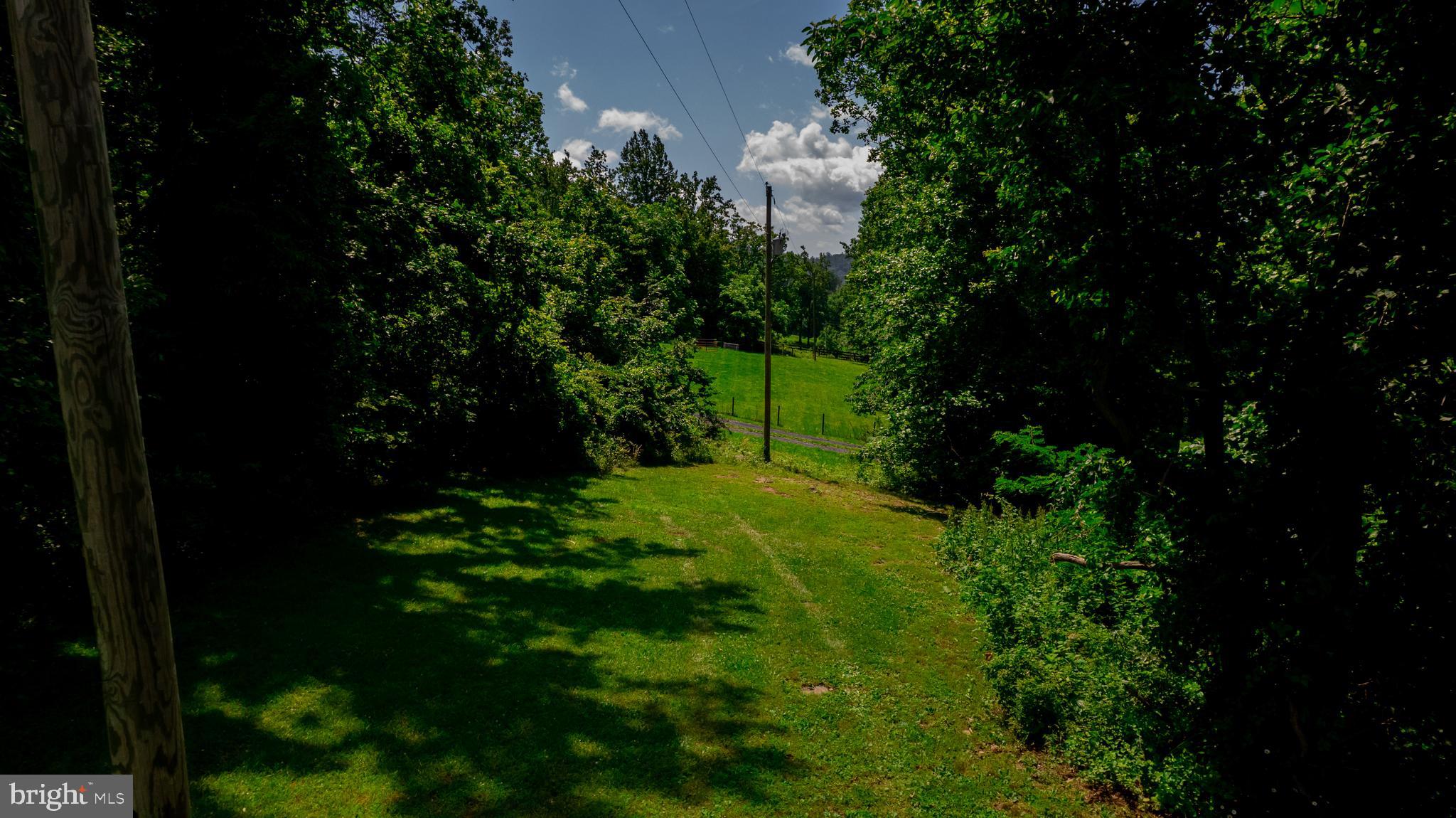 4179 Fiery Run Road Linden, VA 22642 - Photo 75 of 80 Land