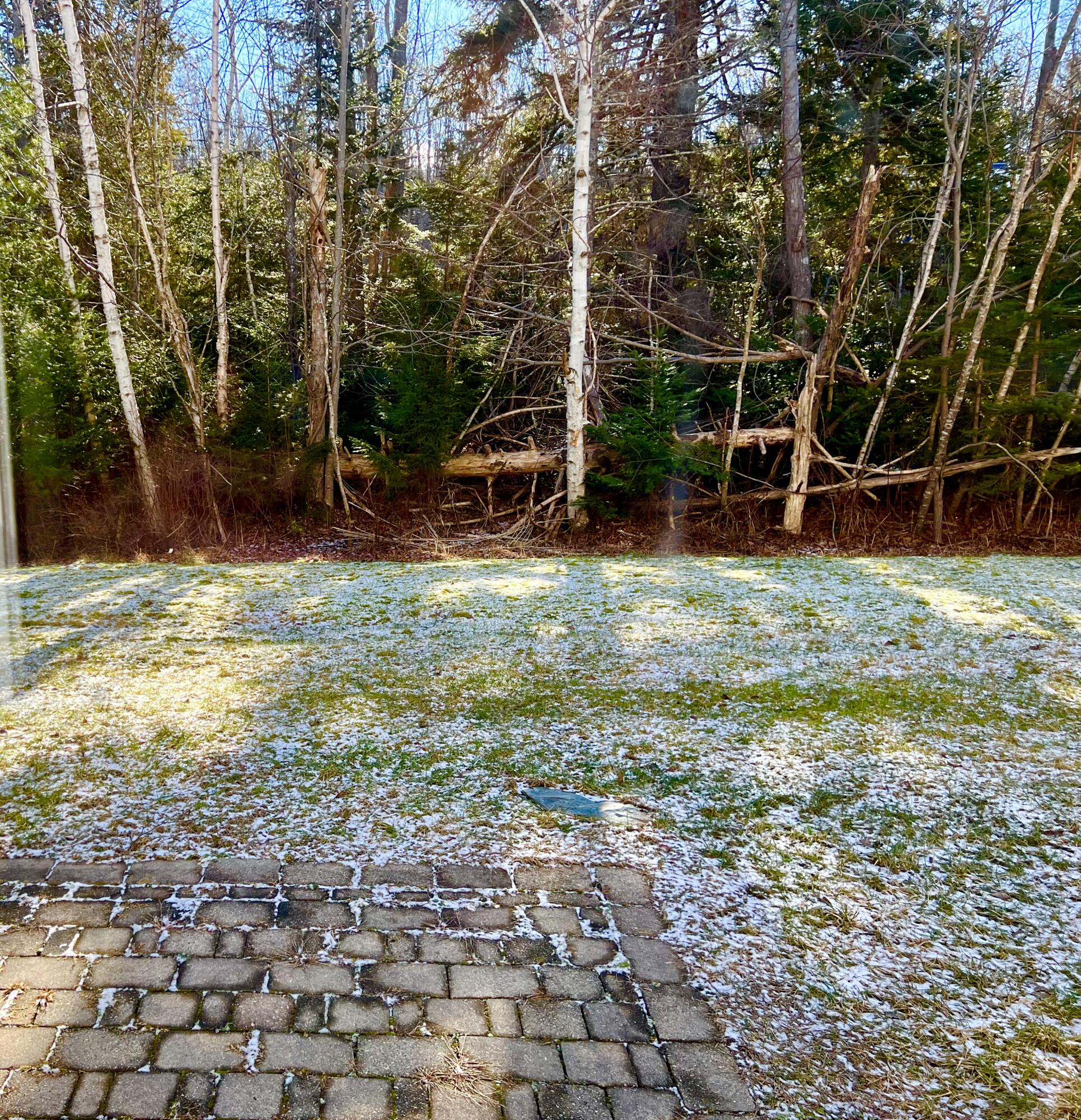 79 East Ridge Road, Unit 109 Southwest Harbor, ME 04679 - Photo 23 of 43 View from patio