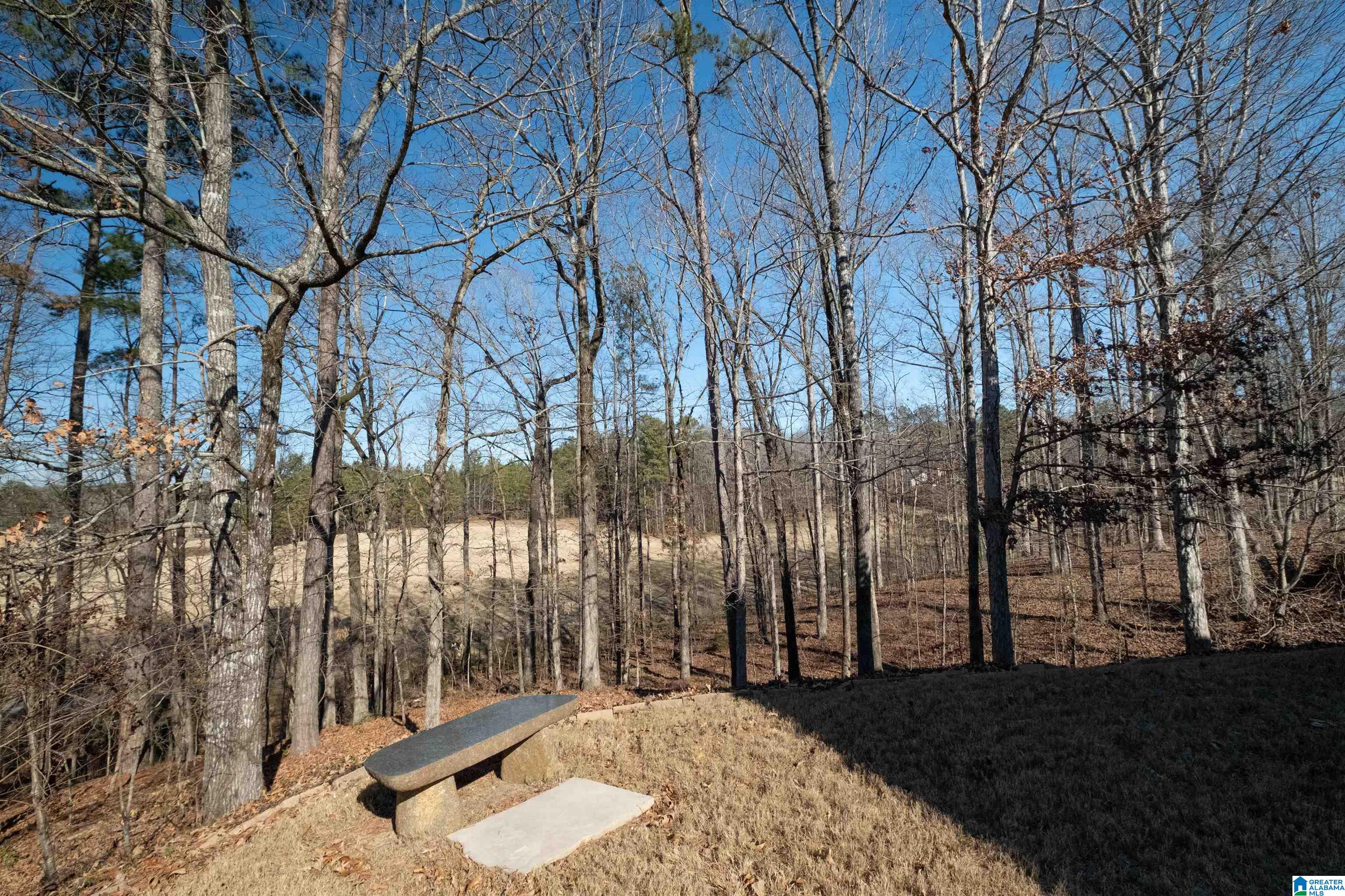 522 Timberline Trail Calera, AL 35040 - Photo 38 of 43