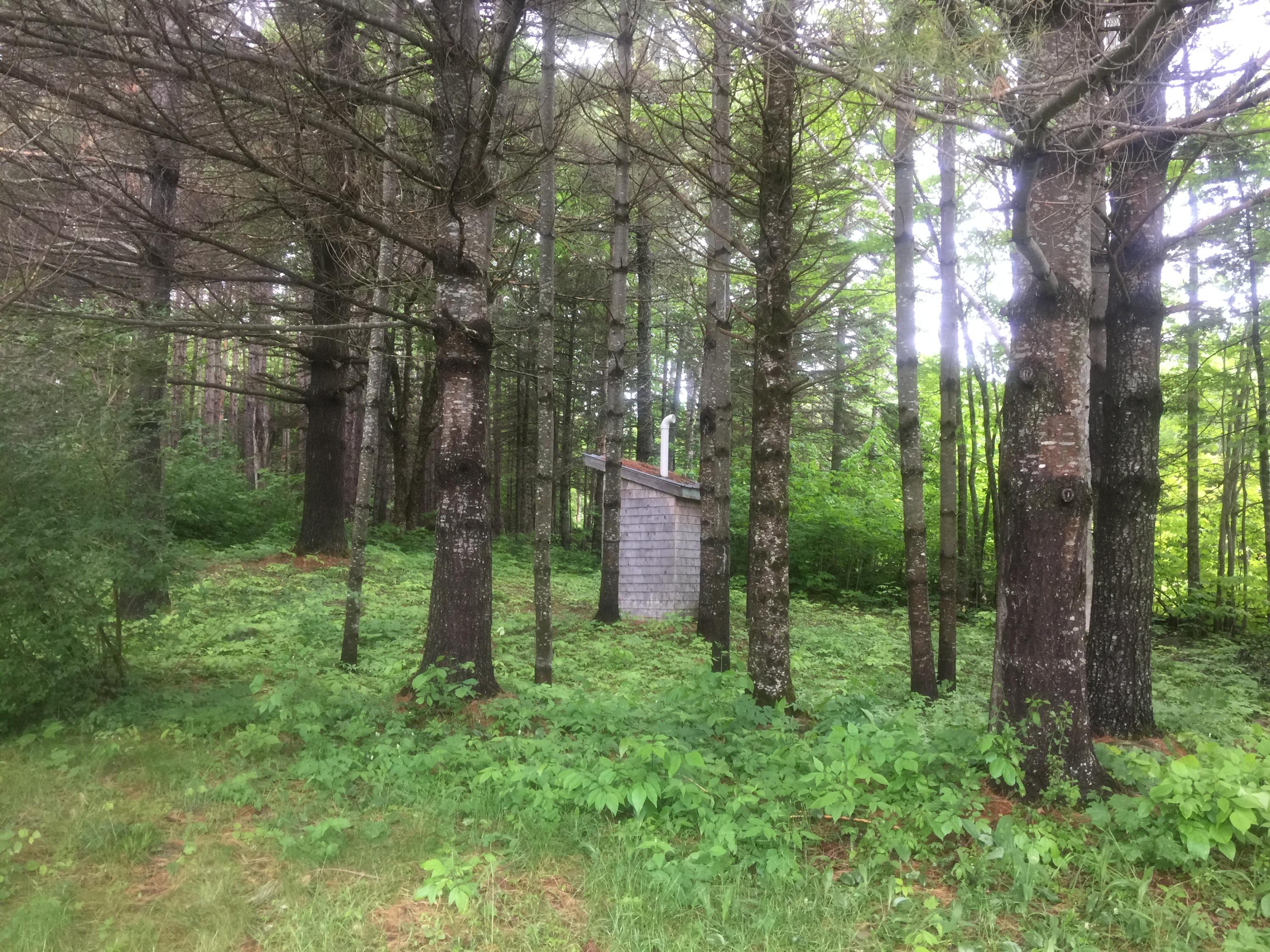 274 East Madrid Road Phillips, ME 04966 - Photo 39 of 40 IMG_5324