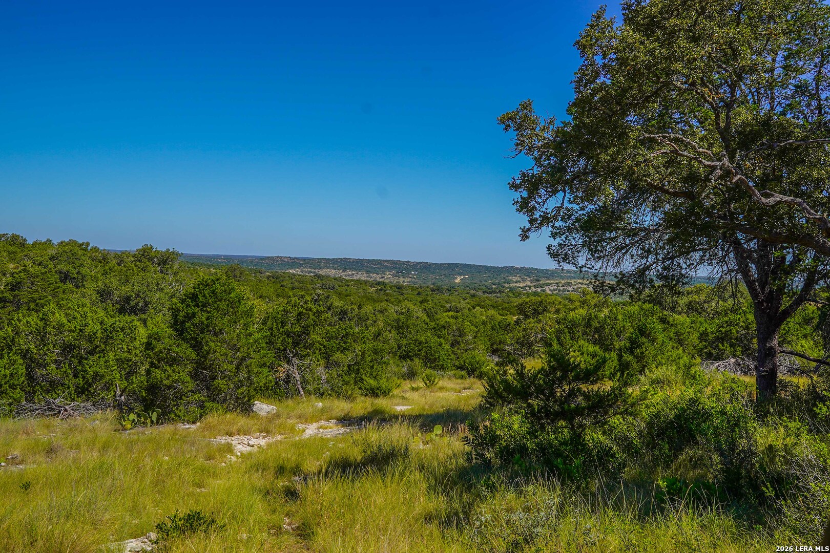 14468 County Road 310 Rocksprings, TX 78880 - Photo 29 of 101 Gallery Image 29