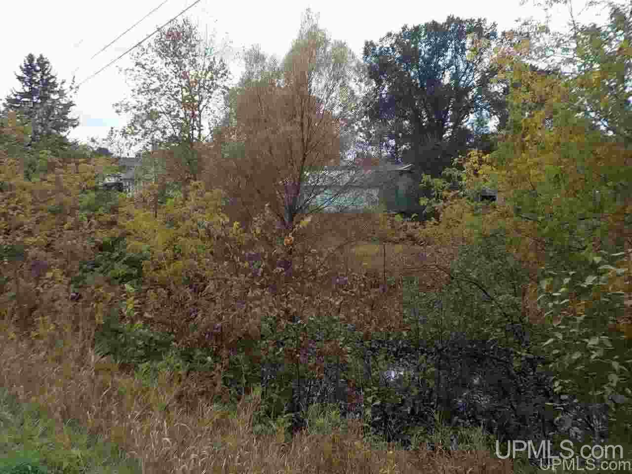 105 Park City Road Amasa, MI 49903 - Photo 23 of 33