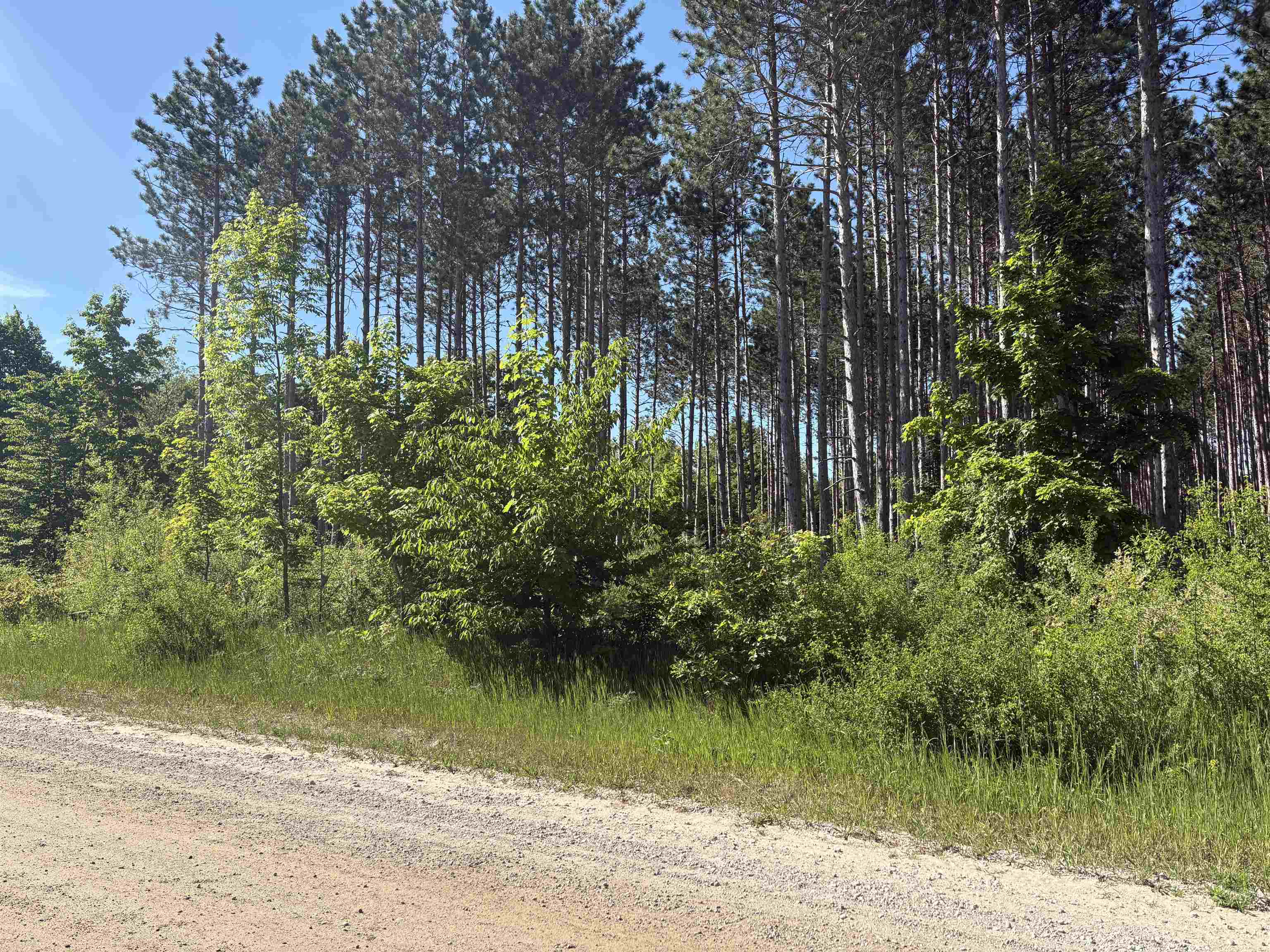 Parcel E St Johns Road Interlochen, MI 49643 - Photo 2 of 11