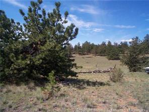 2808 Fitzsimmons Road Hartsel, CO 80449 - Photo 1 of 9 Gallery Image 1