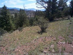 2808 Fitzsimmons Road Hartsel, CO 80449 - Photo 2 of 9 Gallery Image 2