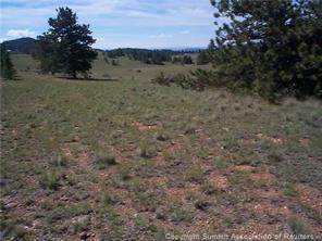 2808 Fitzsimmons Road Hartsel, CO 80449 - Photo 3 of 9 Gallery Image 3