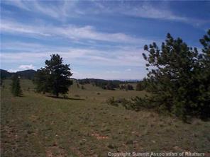 2808 Fitzsimmons Road Hartsel, CO 80449 - Photo 4 of 9 Gallery Image 4