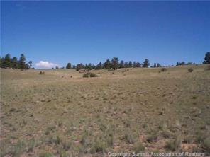2808 Fitzsimmons Road Hartsel, CO 80449 - Photo 5 of 9 Gallery Image 5