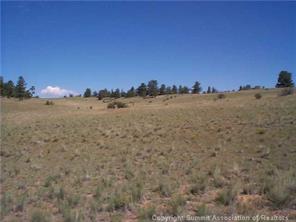 2808 Fitzsimmons Road Hartsel, CO 80449 - Photo 6 of 9 Gallery Image 6