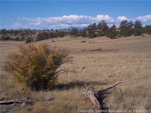 2808 Fitzsimmons Road Hartsel, CO 80449 - Photo 7 of 9 Gallery Image 7