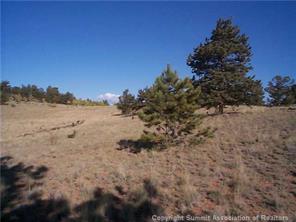 2808 Fitzsimmons Road Hartsel, CO 80449 - Photo 8 of 9 Gallery Image 8