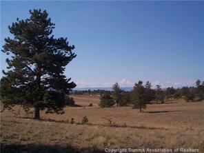 2808 Fitzsimmons Road Hartsel, CO 80449 - Photo 9 of 9 Gallery Image 9