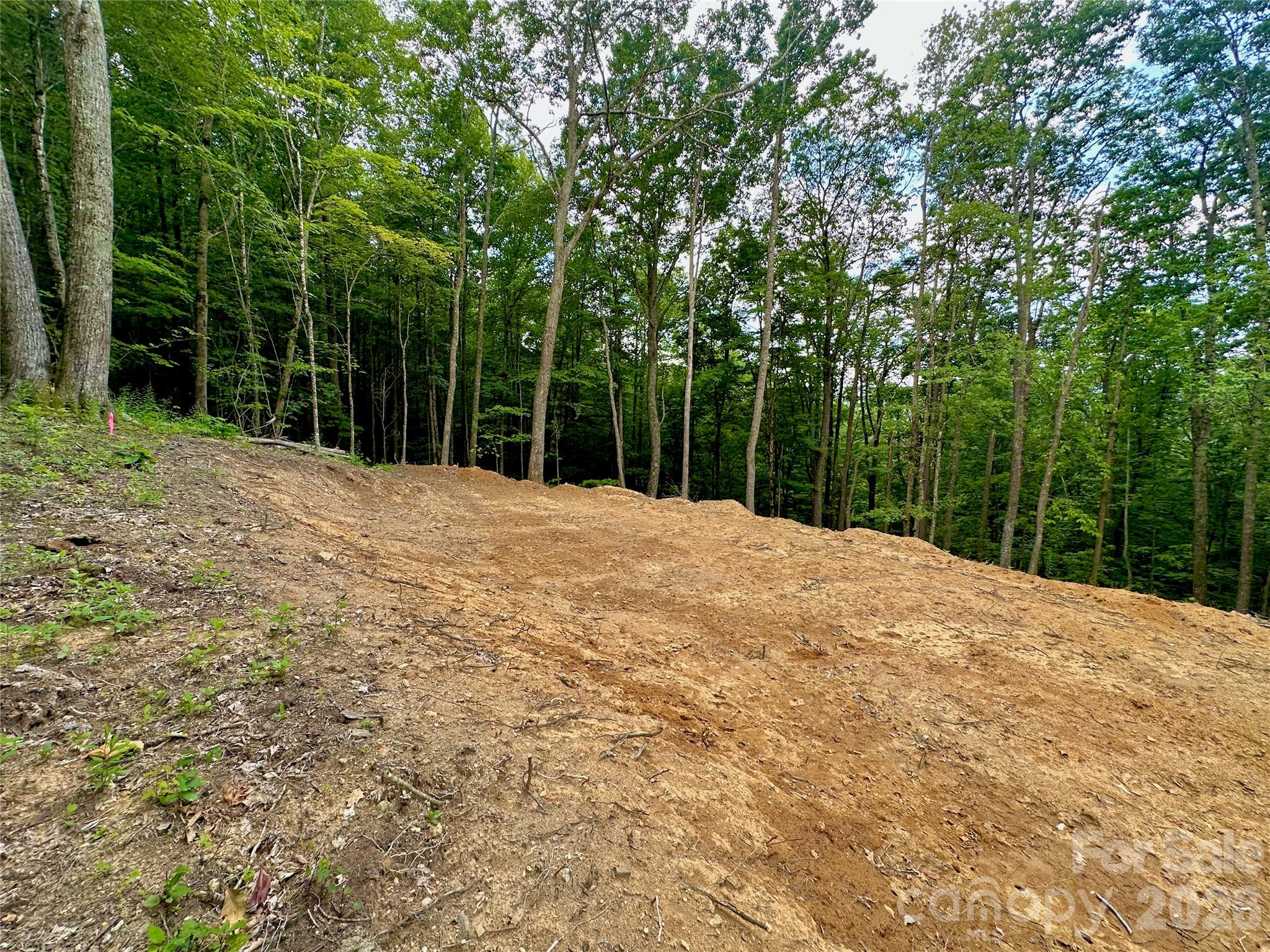 Tbd Old Chestnut Mountain Road Newland, NC 28657 - Photo 28 of 33 a outdoor space with view of trees