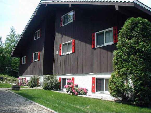 9 Summit Vista Road, Unit 91 Bartlett, NH 03845 - Photo 1 of 9 Gallery Image 1