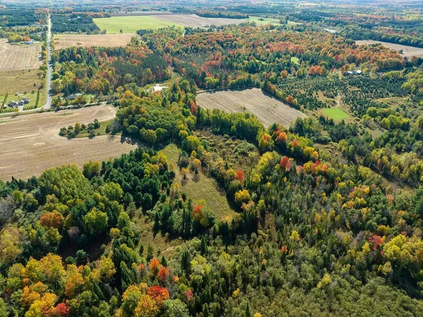 $625,000 | 7200 East 46 Road, Cadillac, MI 49601