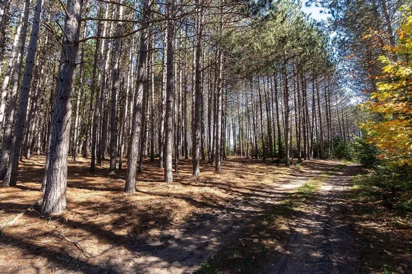 $625,000 | 7200 East 46 Road, Cadillac, MI 49601