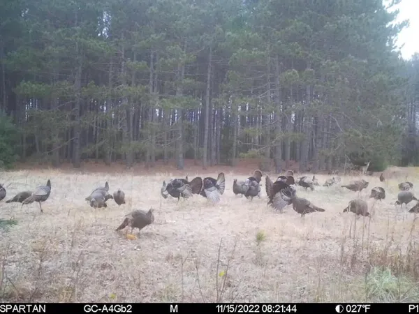 $625,000 | 7200 East 46 Road, Cadillac, MI 49601