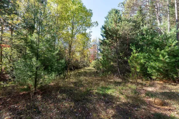 $625,000 | 7200 East 46 Road, Cadillac, MI 49601