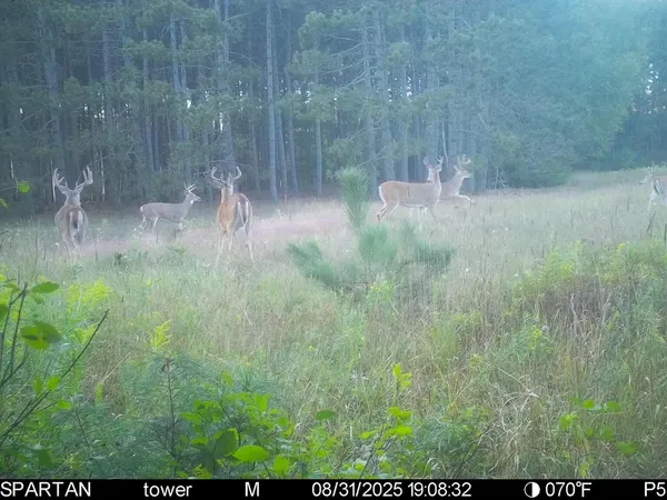 $625,000 | 7200 East 46 Road, Cadillac, MI 49601