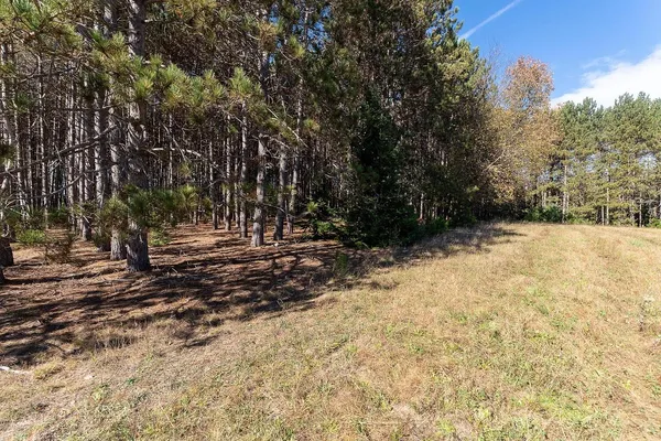 $625,000 | 7200 East 46 Road, Cadillac, MI 49601