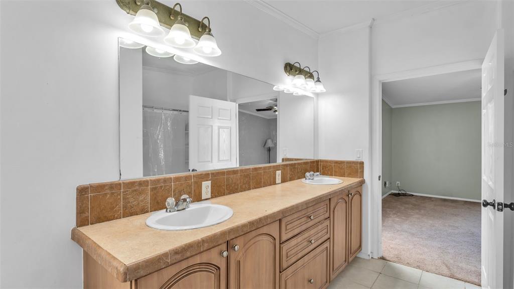 7549 Sinkhole Road Bartow, FL 33830 - Photo 9 of 40 a bathroom with a sink and a mirror