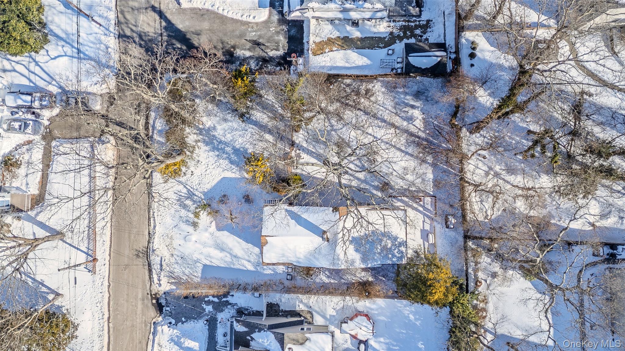 40 Hawthorne Road Rocky Point, NY 11778 - Photo 6 of 16 a view of yard