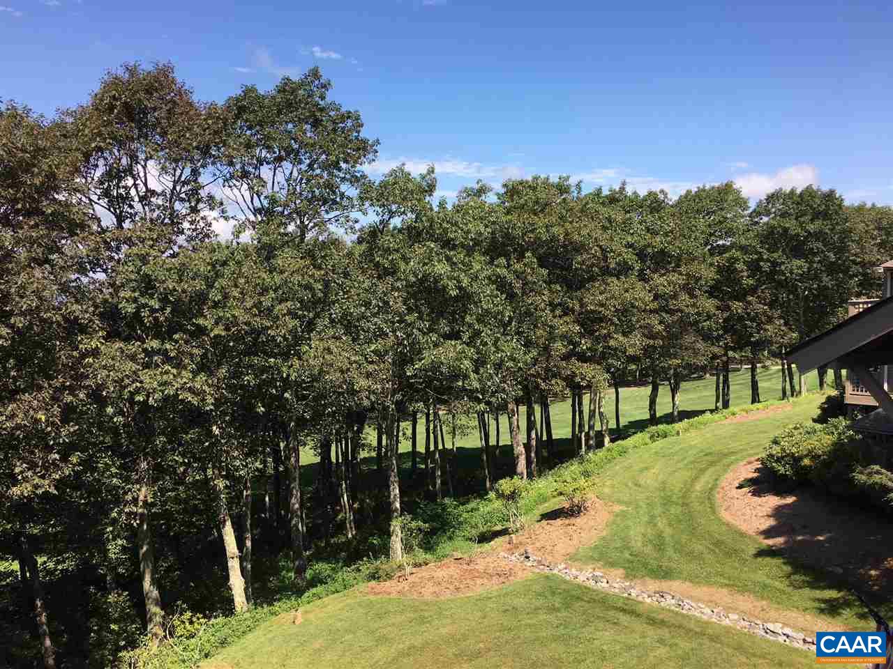 2033 Stone Ridge Roseland, VA 22967 - Photo 2 of 35 a view of a park with large trees