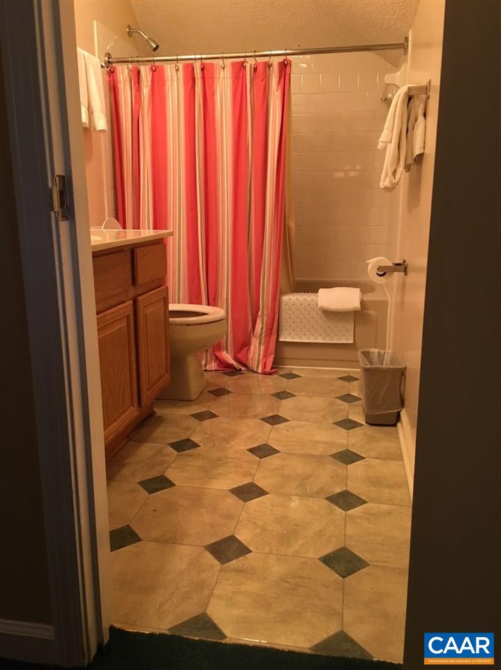 2033 Stone Ridge Roseland, VA 22967 - Photo 23 of 35 a bathroom with a sink and a toilet