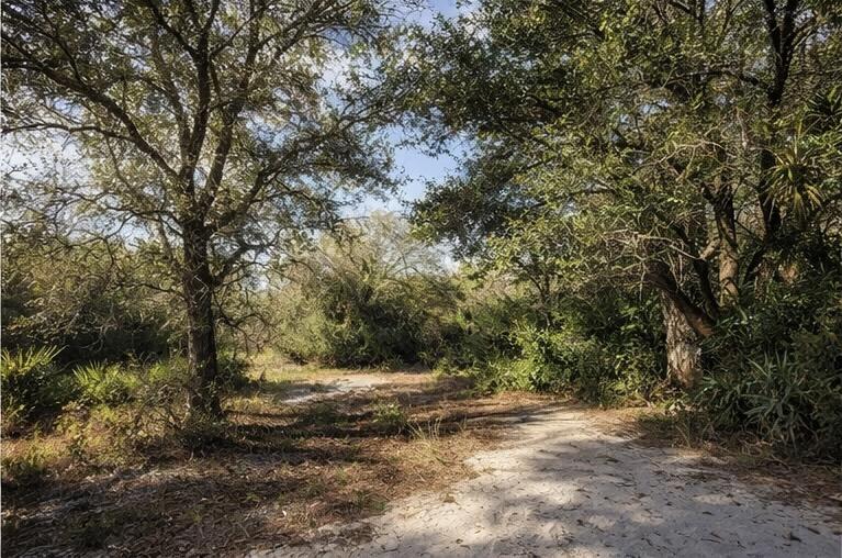 0 Northwest 294th Okeechobee, FL 34972 - Photo 1 of 5 a view of outdoor space with trees