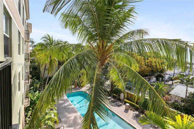 a view of a palm plant that is in front of a building