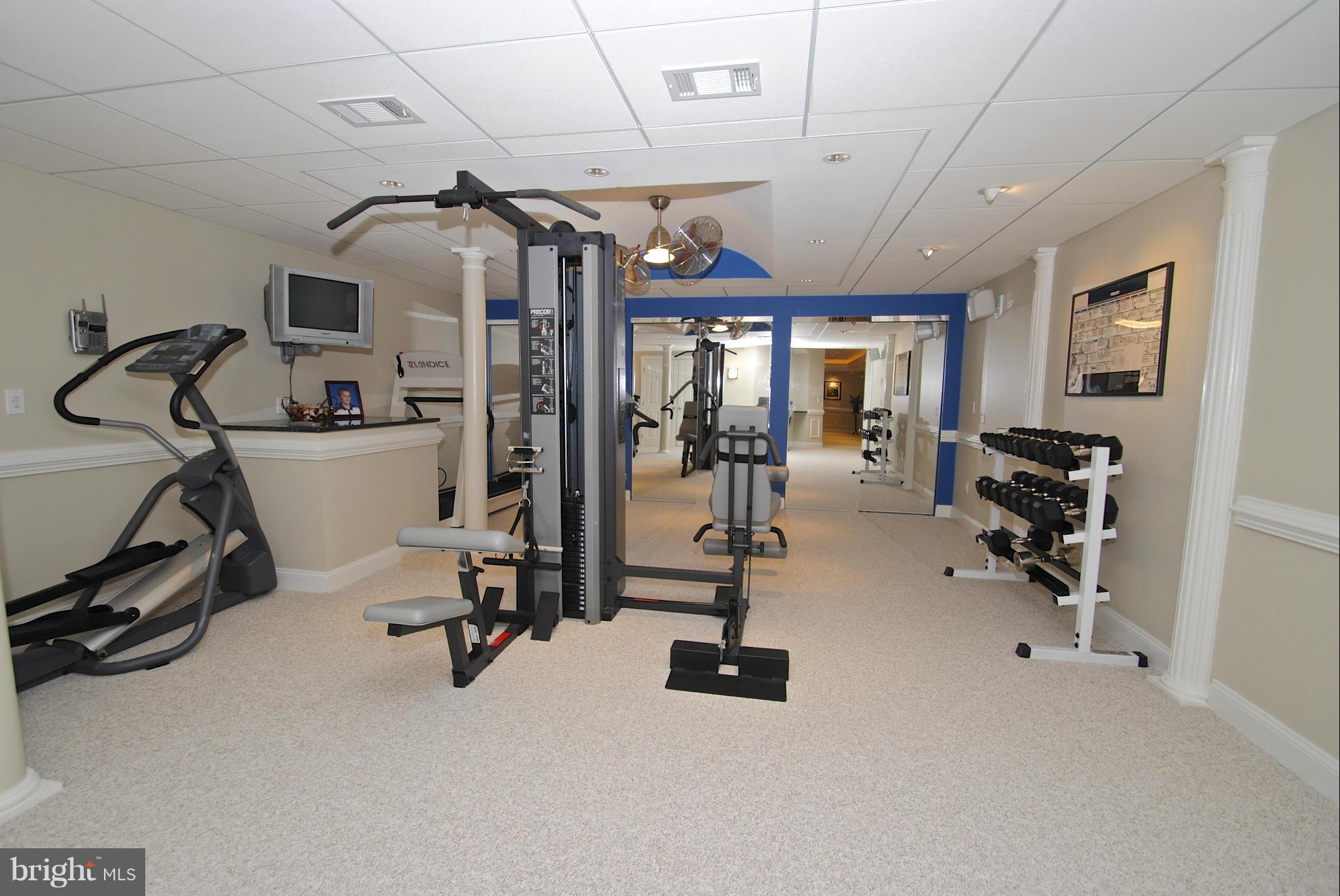 46 Colony Crossing Edgewater, MD 21037 - Photo 14 of 30 Walk out LL w/ gym