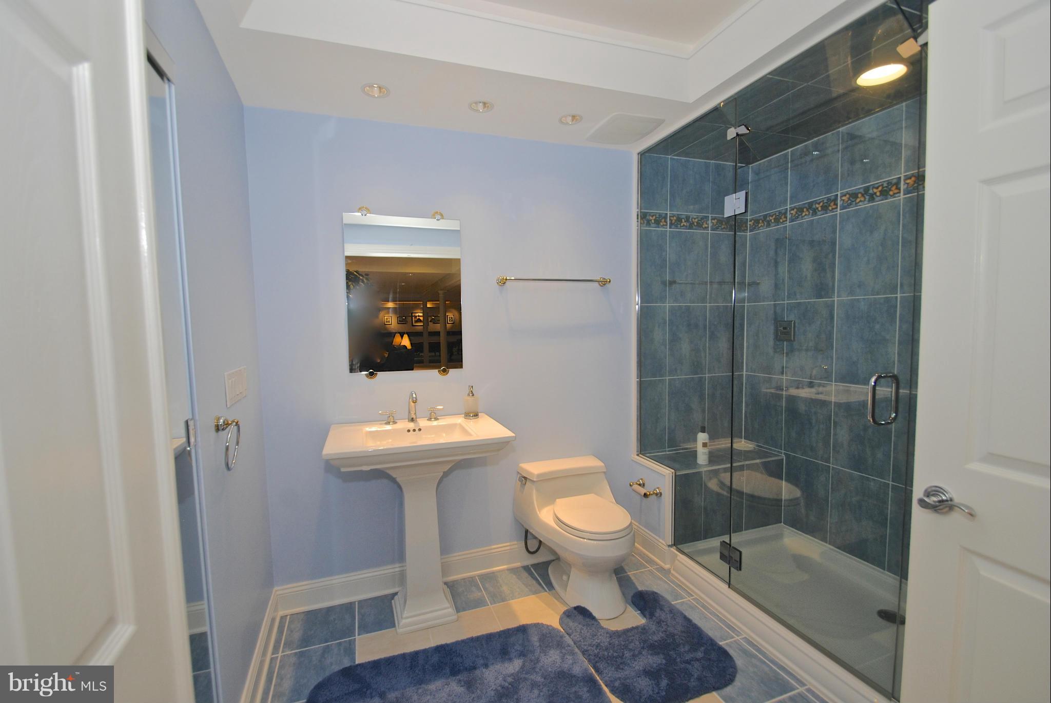 46 Colony Crossing Edgewater, MD 21037 - Photo 15 of 30 Steam shower for pool