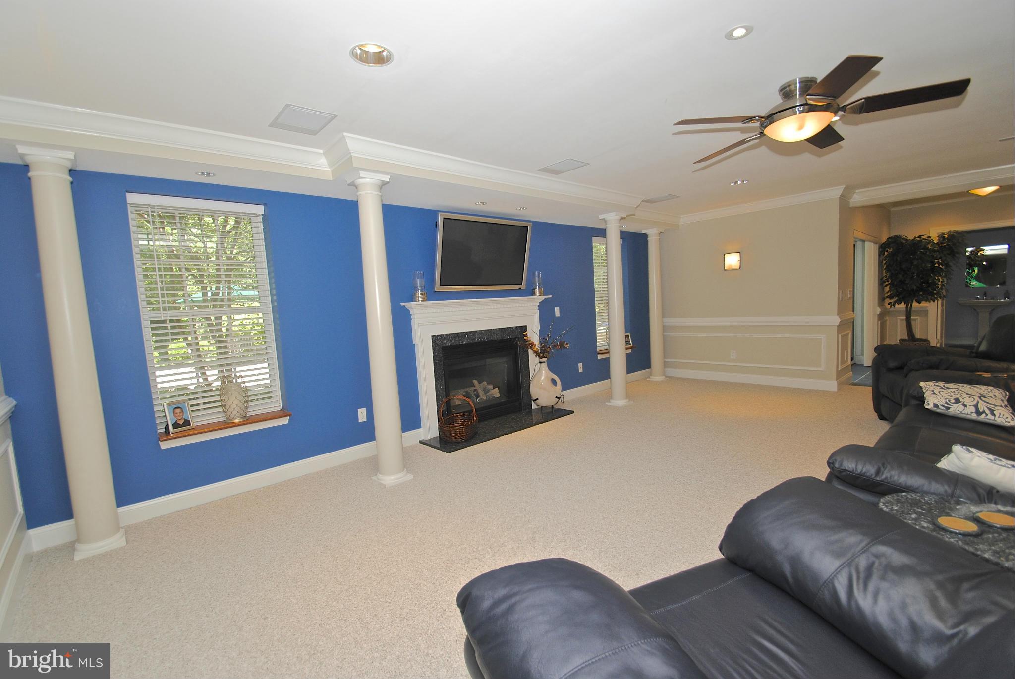 46 Colony Crossing Edgewater, MD 21037 - Photo 16 of 30 Theatre system w/ drop down speakers