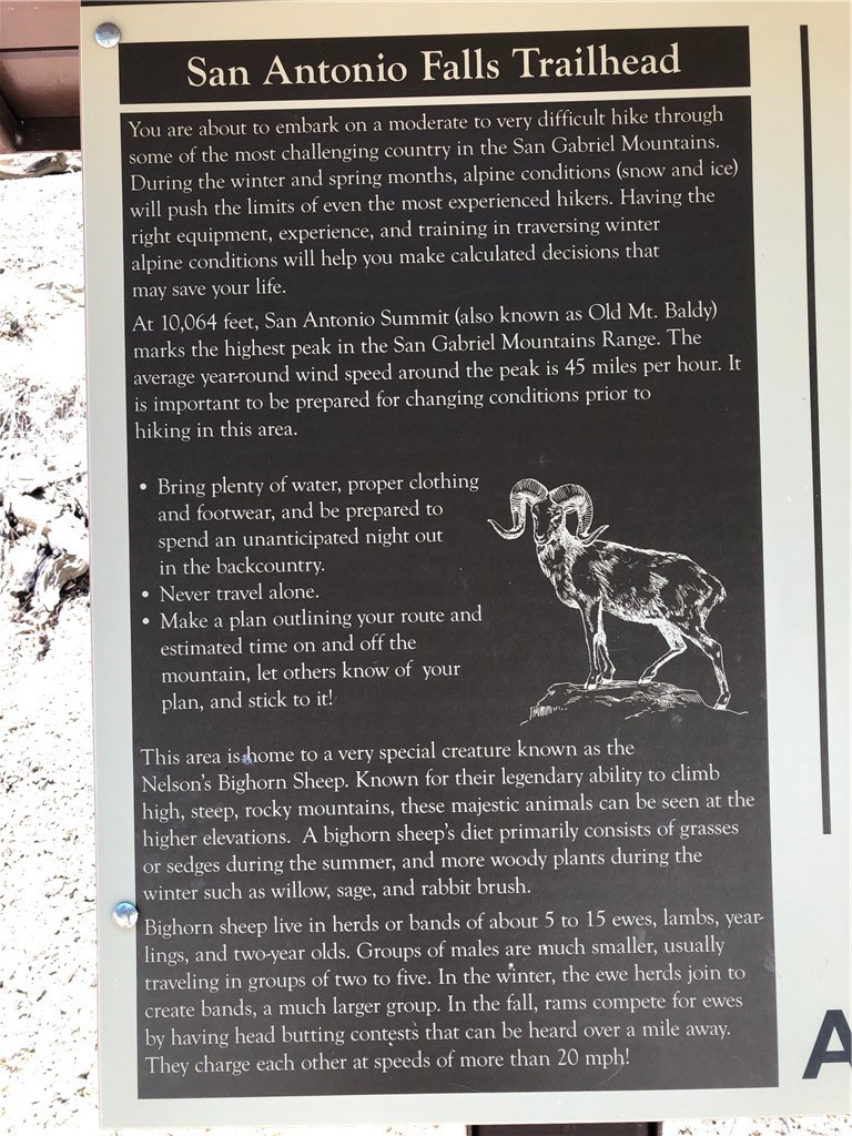 35 Manker Flats Mt Baldy, CA 91759 - Photo 45 of 48