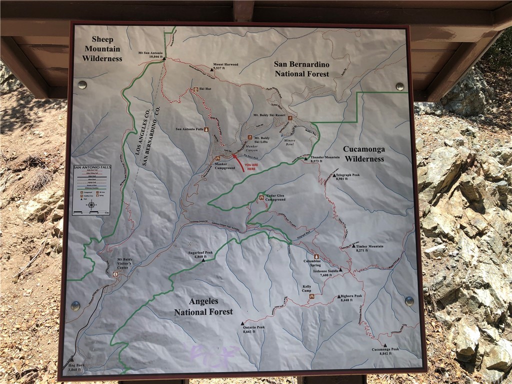 35 Manker Flats Mt Baldy, CA 91759 - Photo 48 of 48 a close up of a shower curtain