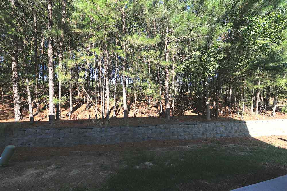 3053 Winding Waters Way Raleigh, NC 27614 - Photo 26 of 30 Photo 26