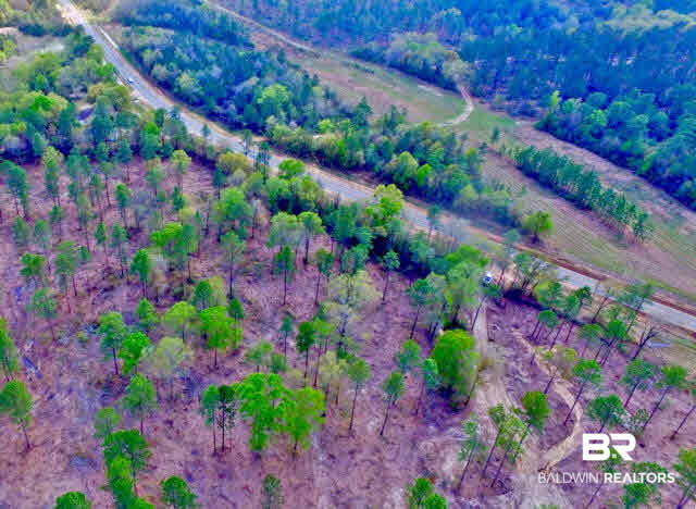 0 South Grand Bay Wilmer Road Wilmer, AL 36587 - Photo 1 of 18