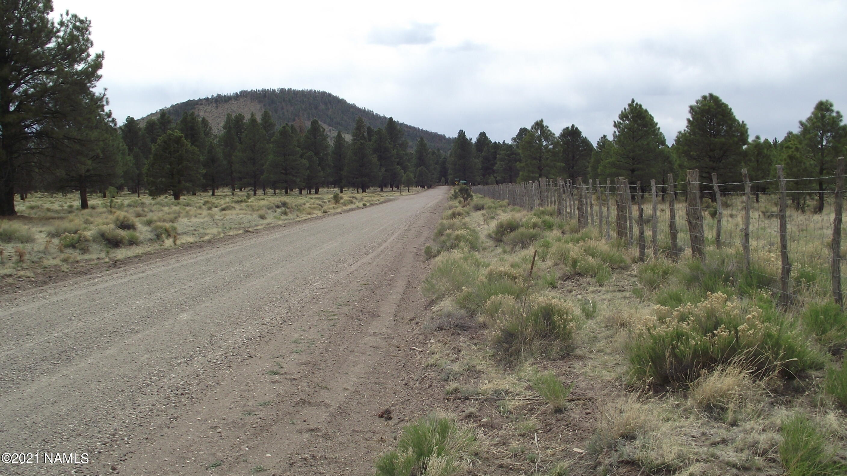 12227 East Spring Valley Road Parks, AZ 86018 - Photo 42 of 49 DSCF5683