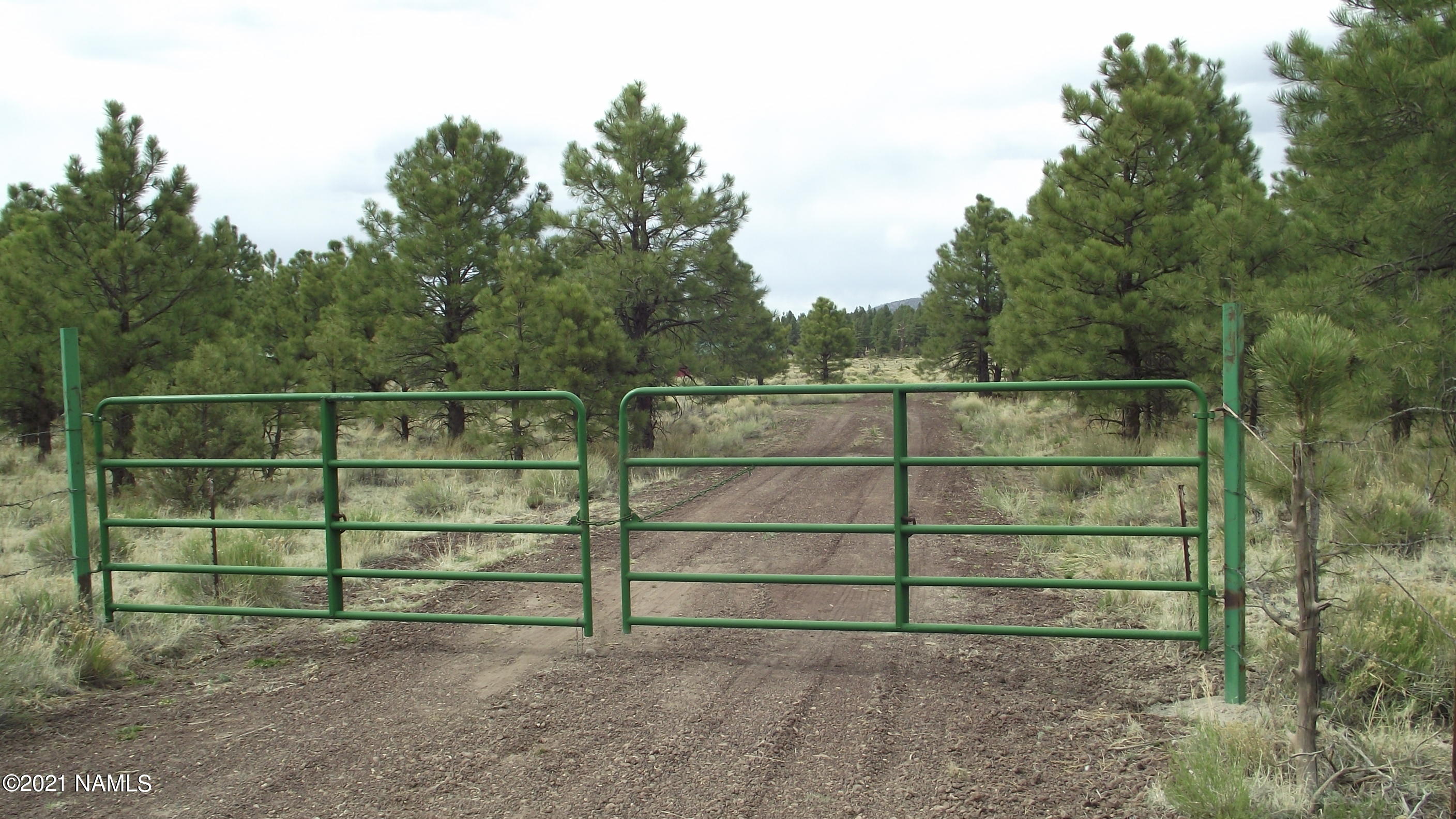 12227 East Spring Valley Road Parks, AZ 86018 - Photo 44 of 49 DSCF5685