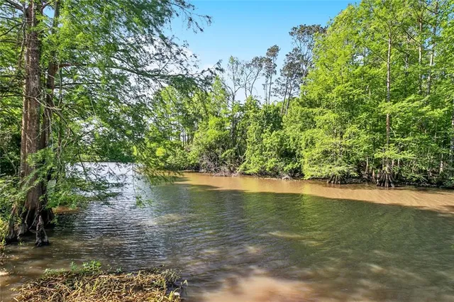 $333,000 | 31814 River Pines Drive, Springfield, LA 70462