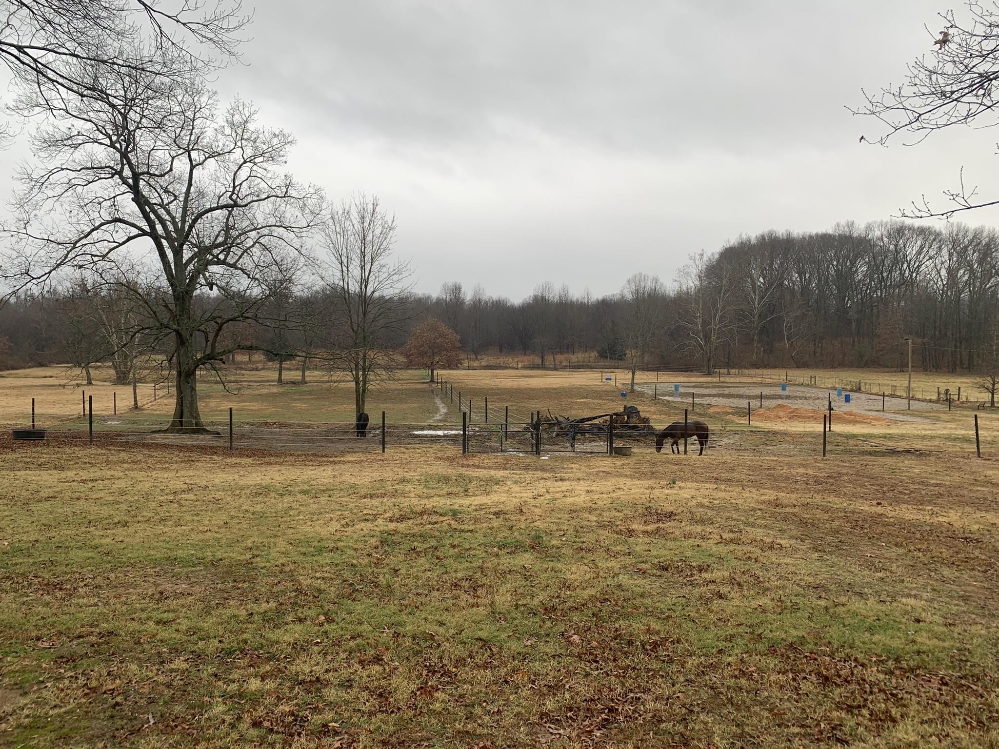 1049 Keeling Road Stanton, TN 38069 - Photo 17 of 25