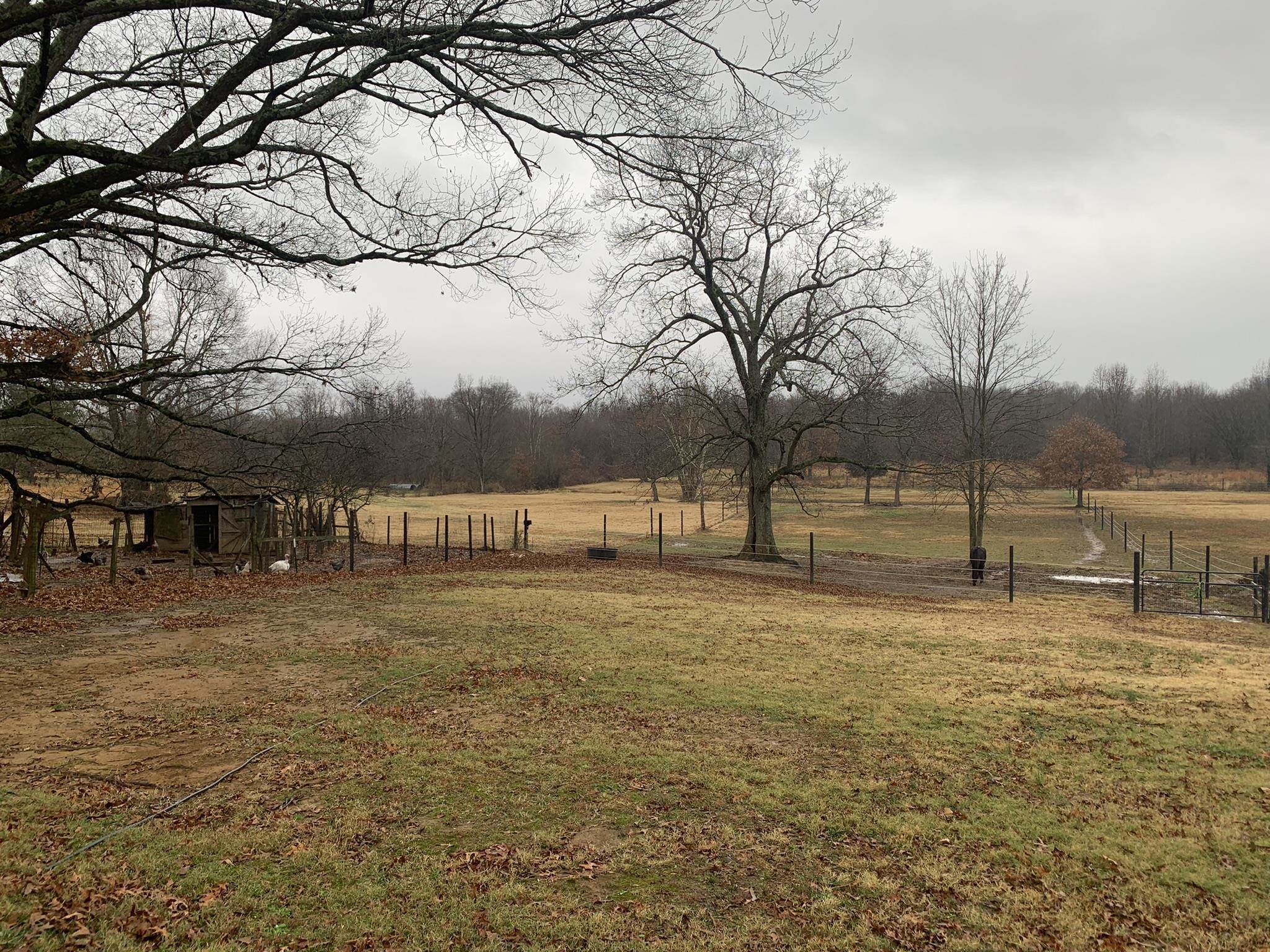 1049 Keeling Road Stanton, TN 38069 - Photo 19 of 25