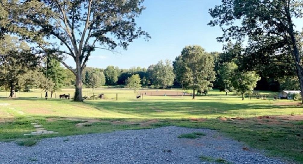 1049 Keeling Road Stanton, TN 38069 - Photo 22 of 25