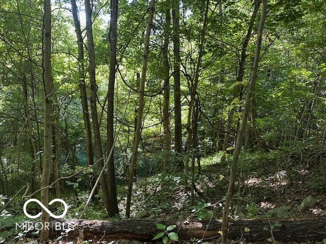 2503 West Bunkertown Road Covington, IN 47932 - Photo 4 of 8