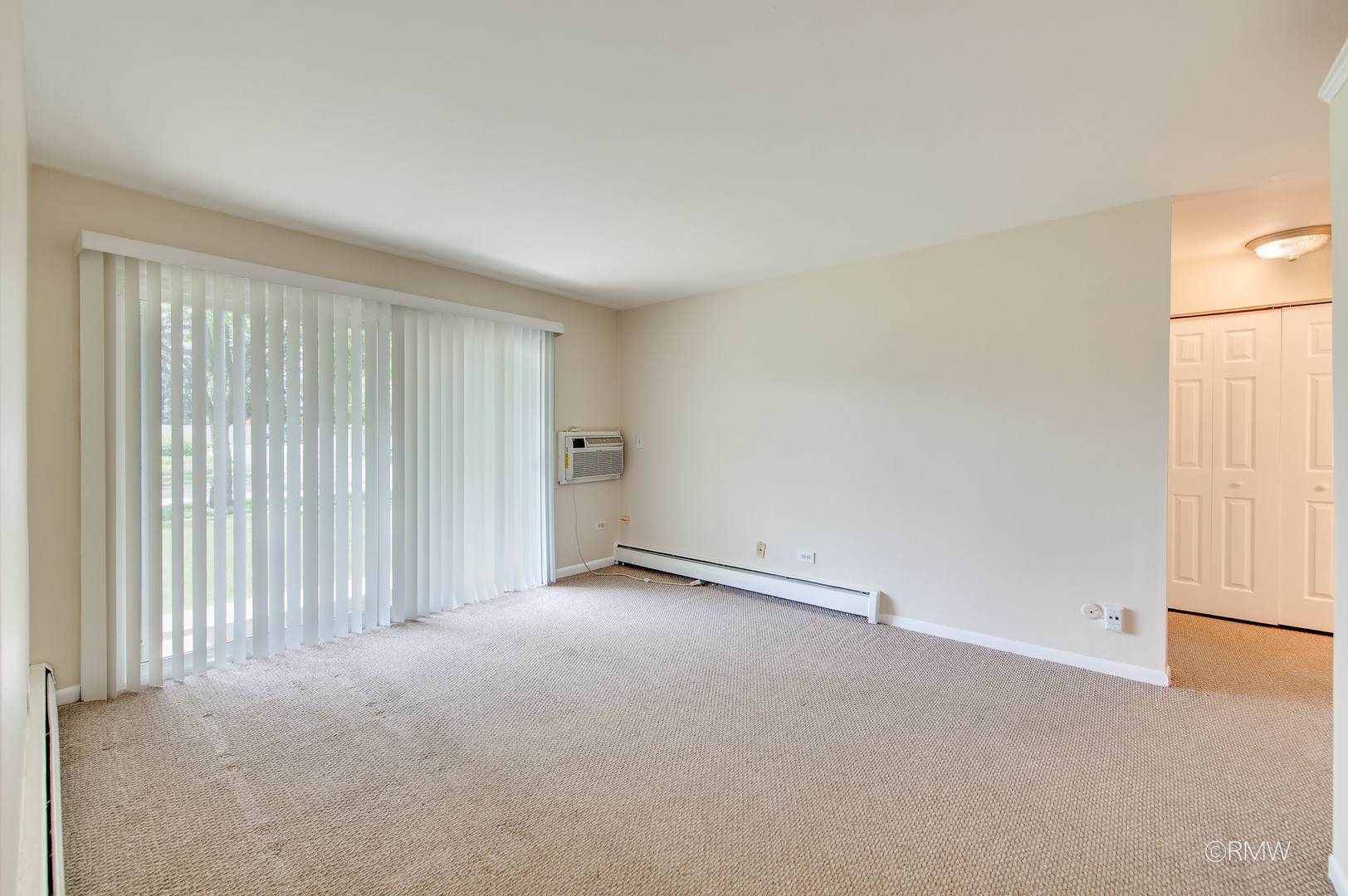 337 North Carter Street, Unit 101 Palatine, IL 60067 - Photo 9 of 18