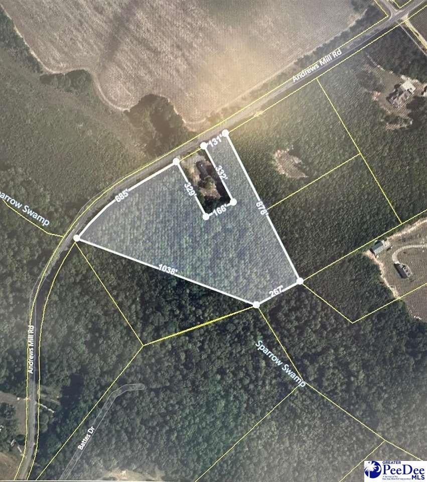 Tbd Andrews Mill Road Timmonsville, SC 29161 - Photo 1 of 1 Gallery Image 1