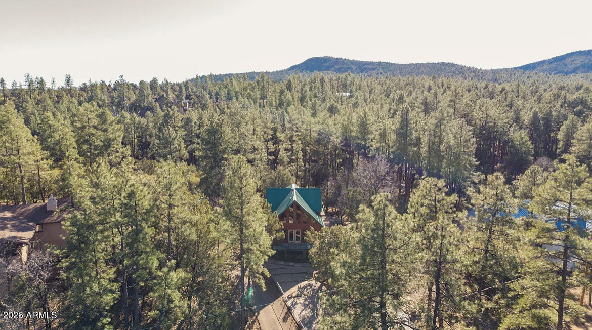 6653 Ridge Road Pine, AZ 85544 - Photo 32 of 40 IMG_6542