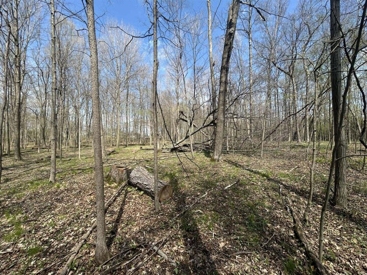 Halfmoon Lake Road Hillsdale, MI 49242 - Photo 5 of 11 Gallery Image 5