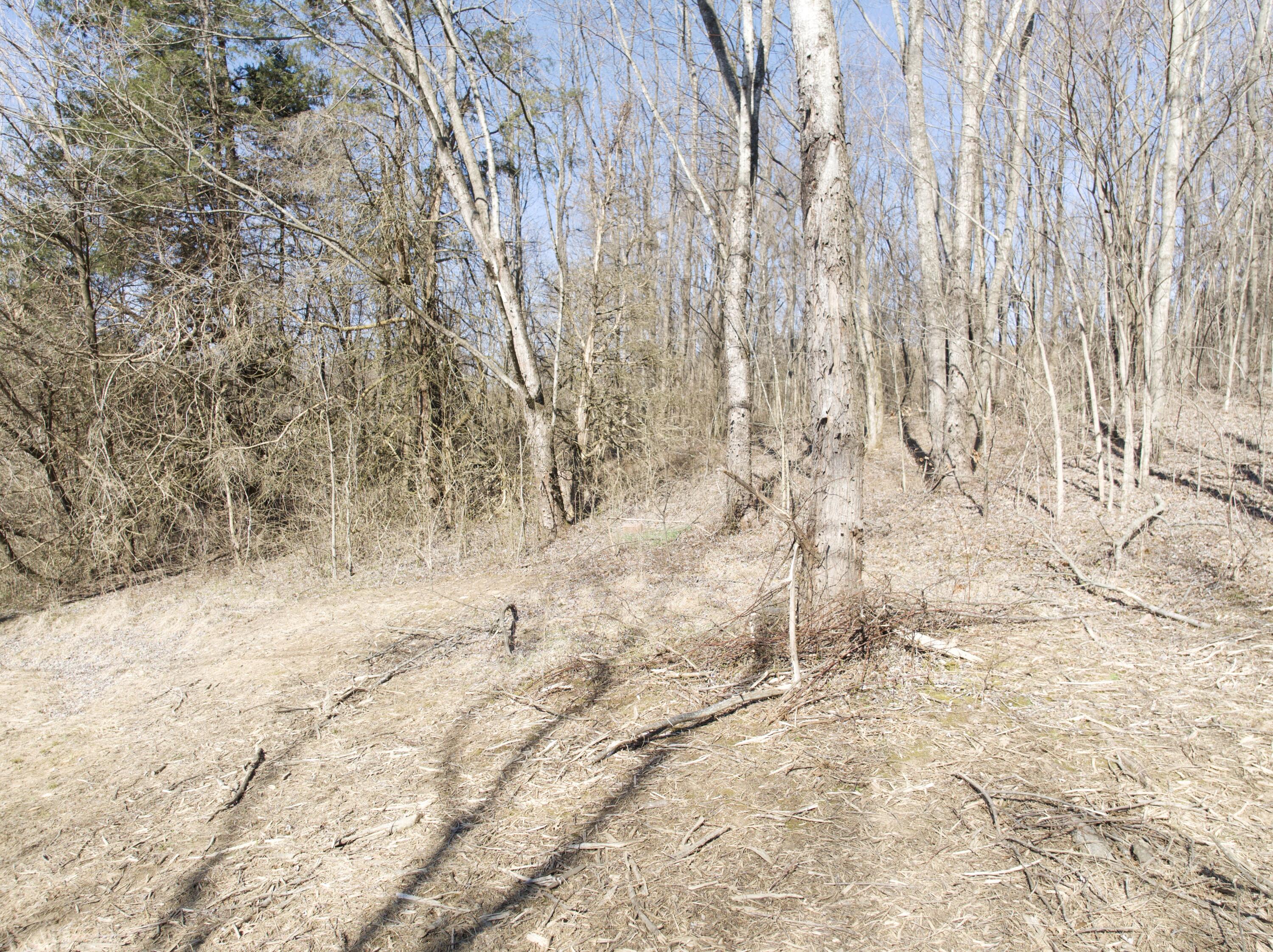 85 Buncombe-Wheeldon Road Science Hill, KY 42553 - Photo 14 of 16 DJI_20250227111110_0070_D_ND16-Enhanced-