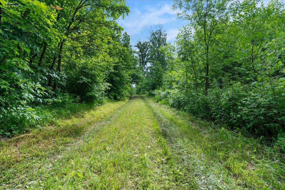 4608 Highway 371 Hackensack, MN 56452 - Photo 43 of 71